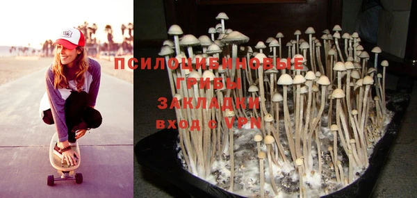 a pvp Бородино