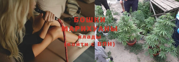 a pvp Бородино